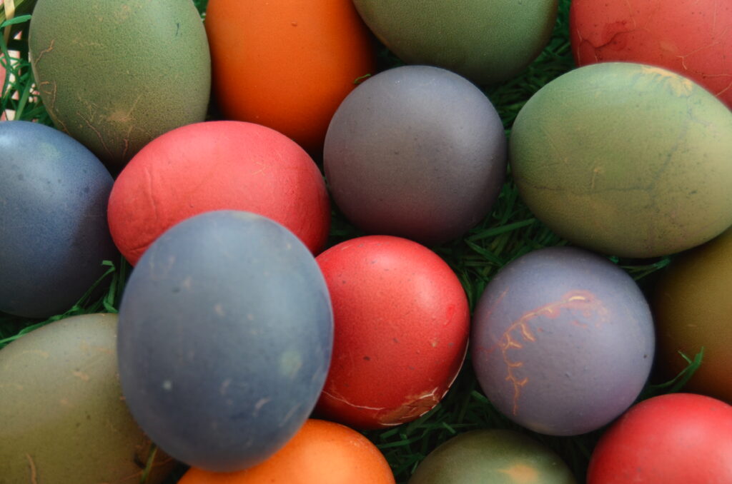 oeufshasard - Technologie et Consommation